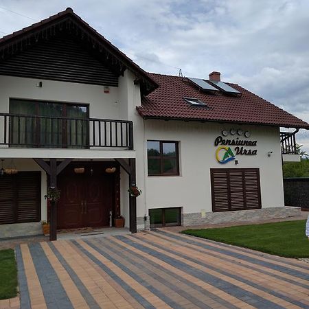Pensiunea Ursa Hotel Bistrita Bargaului Ngoại thất bức ảnh